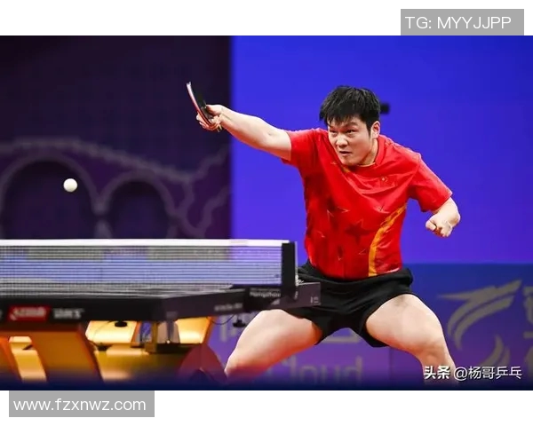乒乓球的魅力揭秘：深入分析上海乒乓球队员的个人技术与实力