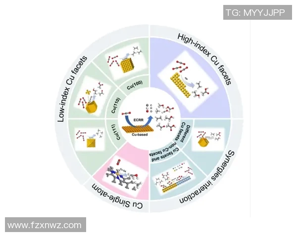 西安飞盘队心理素质深度对比与分析探讨