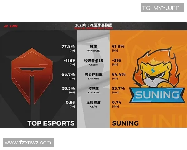 TES战队战术表现深度分析与数据解读探讨